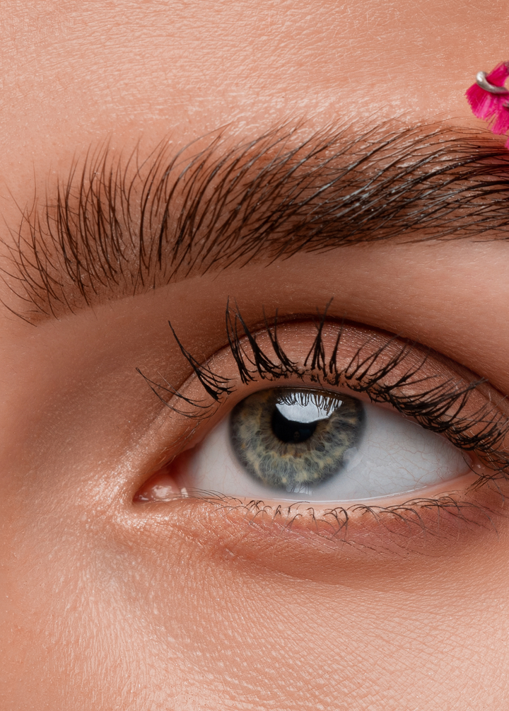 Formation en ligne brow lift : apprenez les techniques professionnelles de restructuration des sourcils